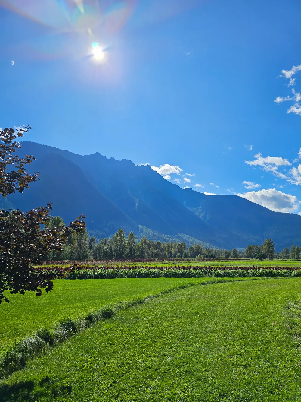 Sunlit mountain ridge above green fields beneath a blue sky